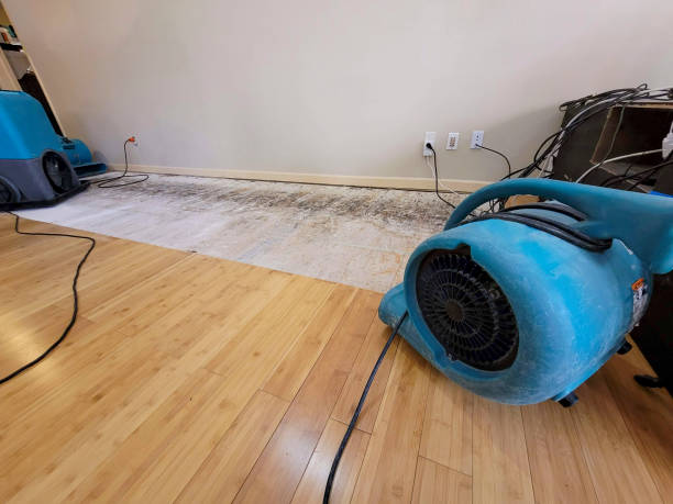 Professional Water Damage Repair technician working in Lake City, IA